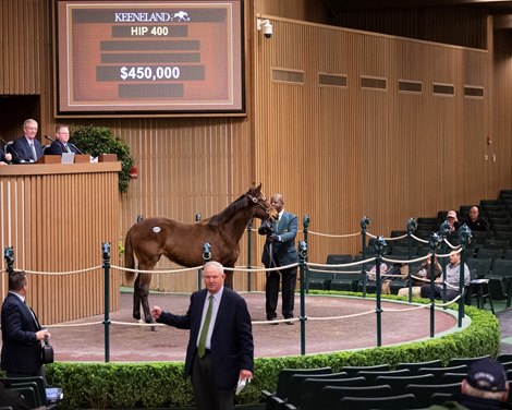 Hip 400 filly by Quality Road out of Evocative at Bedouin Keeneland January sale at Keeneland in Lexington, Ky., on Jan. 7, 2023