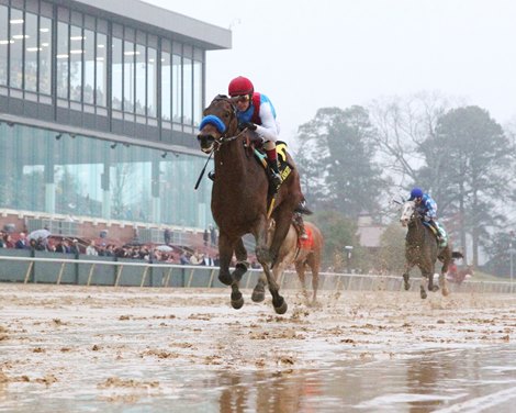 Arabian Knight wins the Southwest Stakes on Saturday, January 28, 2023 at Oaklawn Park