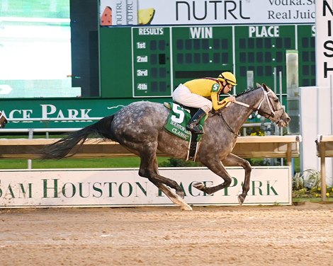 Pauline&#39;s Pearl wins the Houston Ladies Classic Stakes on Saturday, January 28, 2023 at Sam Houston