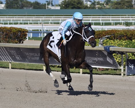 Super Chow wins Limehouse Stakes on Sunday, January 1, 2023 at Gulfstream Park