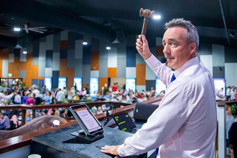 Scene, 2023 Magic Millions Gold Coast Yearling Sale