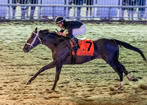 Instant Coffee wins the Lecomte Stakes on Saturday, January 21, 2023 at Fair Grounds