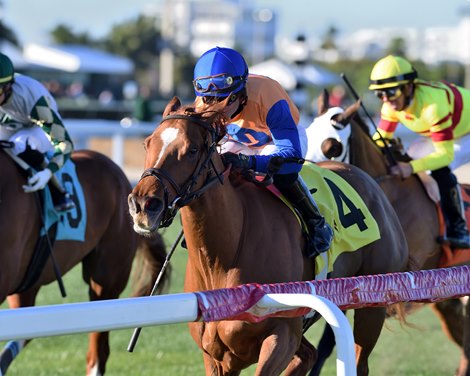 Sweet Dani Girl wins 2023 Sunshine Filly and Mare Turf Stakes at Gulfstream Park