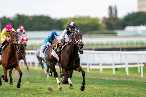 Queen Goddess and Luis Saez win the TAA Pegasus World Cup Filly and Mare Turf Invitational S. presented by PEPSI (Gr. 3) Gulfstream Park, Hallandale Beach, FL, Jan. 28, 2023, Mathea Kelley