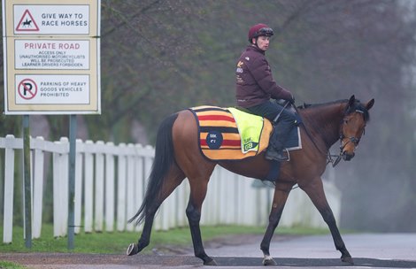 Oisin Murphy rides Missed The Cut, back to George Boughey's Saffron House Stables after working on the Cambridge Road gallops<br>
Newmarket 25.1.23 Pic: Edward Whitaker