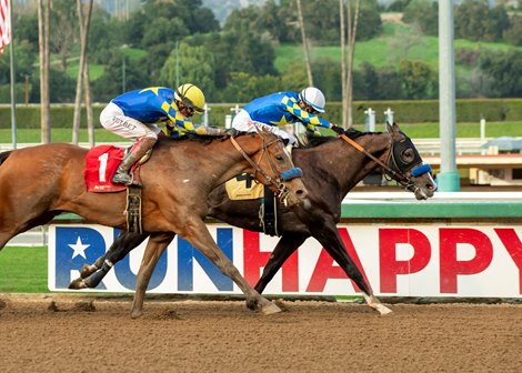 Reincarnate and jockey Juan Hernandez win the Grade III $100,000 Sham Stakes Sunday, January 8, 2023 at Santa Anita Park, Arcadia, CA<br><br />
Benoit Photo