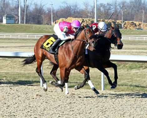 Scoobie Quando wins 2023 Turfway Prevue Stakes at Turfway Park