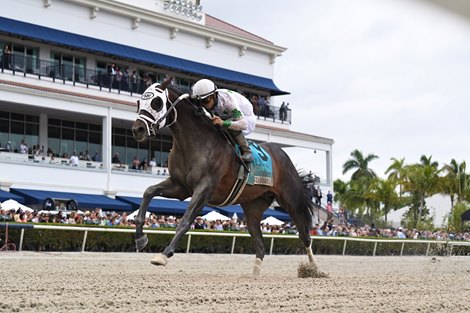 Endorsed wins the 2023 Fred W. Hooper Stakes at Gulfstream Park