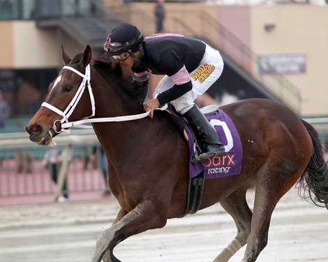 Girl Trouble #10 ridden by Paco Lopez wins the $75,000 Parx Futurity on January 3, 2023 at Parx Racing in Bensalem, PA. The race was originally slated for two-year-olds last week but was postponed due to weather. The NJ-Bred daughter of Fast Anna is trained by Robert Reid, Jr., for Swilcan Stable LLC and LC Racing LLC. Photo by Nikki Sherman/EQUI-PHOTO.