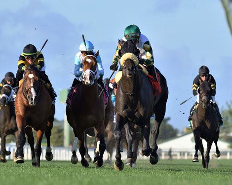 City Man wins the 2022 Ft. Lauderdale Stakes at Gulfstream Park