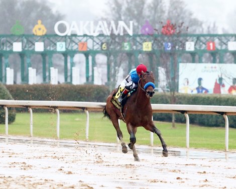 Arabian Knight wins the Southwest Stakes on Saturday, January 28, 2023 at Oaklawn Park