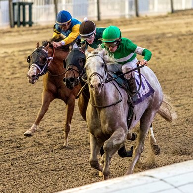 January 21, 2023 - Jockey James Graham aboard Surveillance holds off Bango to win Duncan F. Kenner's 70th race at the Fair Grounds.  Hodges Photography / Amanda Hodges Weir