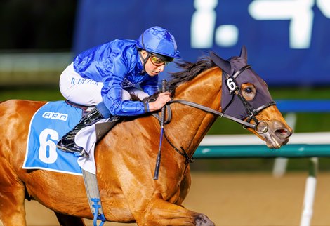 Master of The Seas wins the 2023 Zabeel Mile at Meydan Racecourse