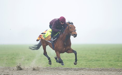 Oisin Murphy and Missed The Cut work on the Cambridge Road gallops<br>
Newmarket 25.1.23 Pic: Edward Whitaker