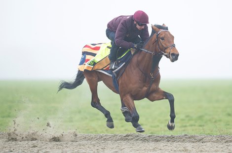 Oisin Murphy and Missed The Cut work on the Cambridge Road gallops<br>
Newmarket 25.1.23 Pic: Edward Whitaker