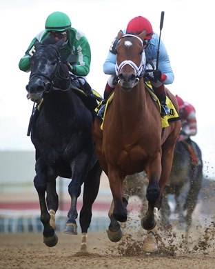 Lugan Knight wins the 2023 Jerome Stakes at Aqueduct