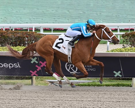 Mage - Maiden Win, Gulfstream Park, January 28, 2023