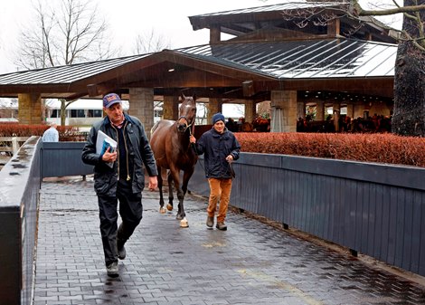 Scenic, 2023 Keeneland Horses for all ages January for sale