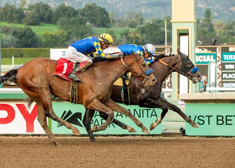 Reincarnate and jockey Juan Hernandez win the Grade III $100,000 Sham Stakes Sunday, January 8, 2023 at Santa Anita Park, Arcadia, CA<br>
Benoit Photo
