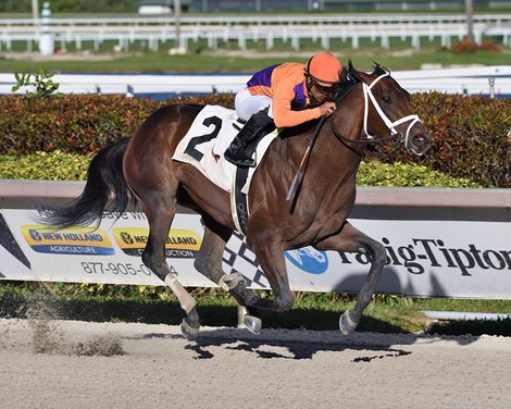 Kingsbarns - Maiden Win, Gulfstream Park, January 14, 2023