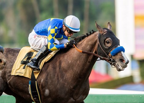 Reincarnate and jockey Juan Hernandez win the Grade III $100,000 Sham Stakes Sunday, January 8, 2023 at Santa Anita Park, Arcadia, CA<br>
Benoit Photo