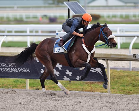 Simplification - Gulfstream Park, January 21, 2023<br><br />
5 furlongs in 1:00.22