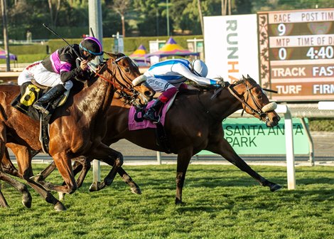 Freedom Flyer and jockey Lanfranco Dettori, right, outleg Big Summer (Joe Bravo), left, to win the $100,000 Wishing Well Stakes, Saturday, February 18, 2023 at Santa Anita Park, Arcadia CA.<br><br />
&#169; BENOIT PHOTO