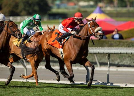 Quattroelle and jockey Hector I. Berrios win the G3T $100,000 Megahertz Stakes Saturday, February 4, 2023 at Santa Anita Park, Arcadia, CA.<br>
Benoit Photo