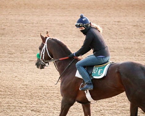 Secret Oath - Gallop - Oaklawn Park - 02-18-23