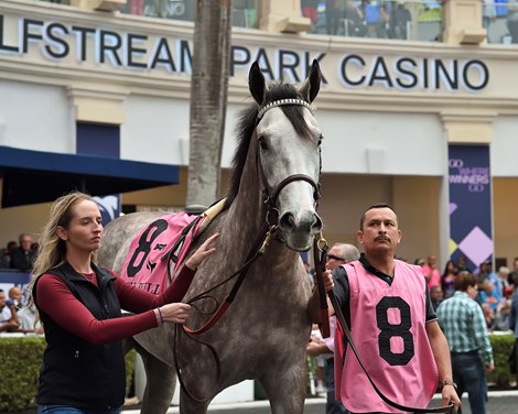 Rocket Can wins the 2023 Holy Bull Stakes at Gulfstream Park