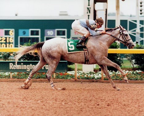 Chindi, Scissortail Stakes, October 11, 1997