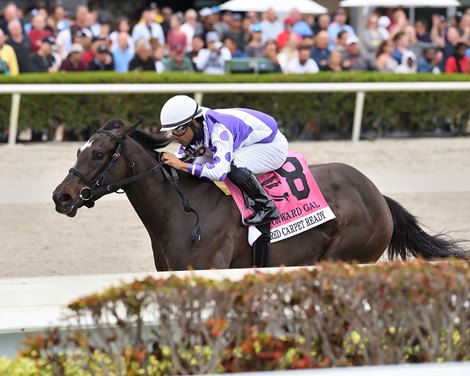 Red Carpet Ready wins the 2023 Forward Gal Stakes at Gulfstream Park