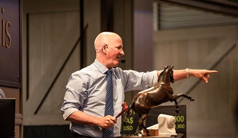 Scene, 2023 Inglis Classic Yearling Sale