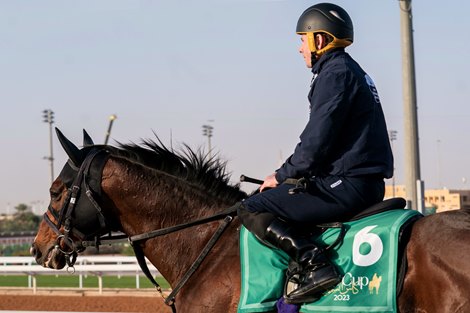 Jun Light Bolt, Saudi Cup, Trackwork, King Abdulaziz Racetrack, Saudi Cup Feb 24, 2023, Photo by Jockey Club of Saudi Arabia, Mathea Kelley