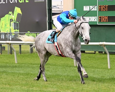 Sunlit Song wins 2023 Houston Turf Stakes at Sam Houston