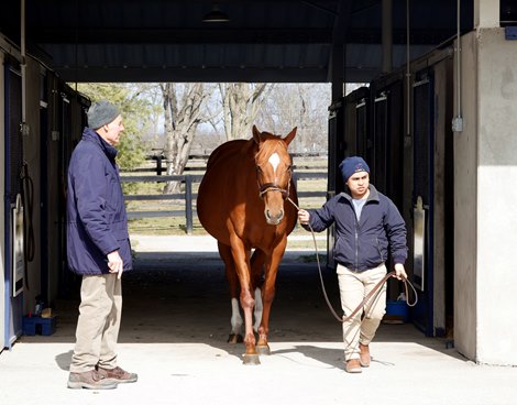 Hip 61, Bubala, 2023 Fasig-Tipton Winter Mixed Sale