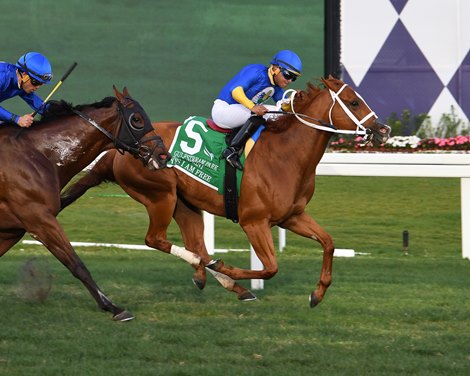 Yes I Am Free wins the 2023 Gulfstream Park Turf Sprint Stakes at Gulfstream Park