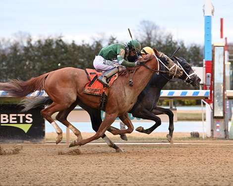 Slip Mahoney - Maiden Win, January 21, 2023, Aqueduct