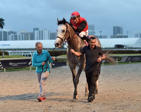 Rocket Can wins the 2023 Holy Bull Stakes at Gulfstream Park