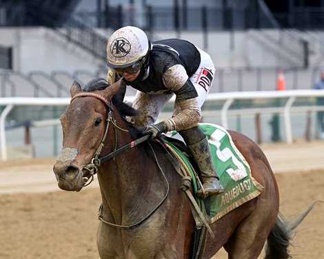 Funny How wins the Broadway Stakes on Sunday, February 12, 2023 at Aqueduct Funny How wins the Broadway Stakes on Sunday, February 12, 2023 at Aqueduct
