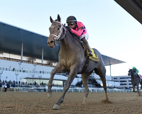 Hit Show wins the 2023 Withers Stakes at Aqueduct