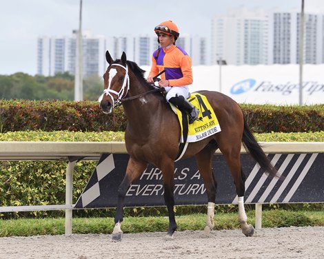 Major Dude wins the 2023 Kitten's Joy Stakes at Gulfstream Park