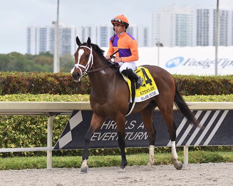 Major Dude Wins 2023 Kitten's Joy Stakes at Gulfstream Park