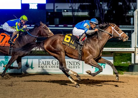 Angel Of Empire (left) with Luis Saez, who finished Tapit Conquest to win the 51st run of the Grade 2 Risen Star Stakes at the Fair Grounds on Saturday, February 18, 2023.  Hodges Photography / Lou Hodges, Jr.