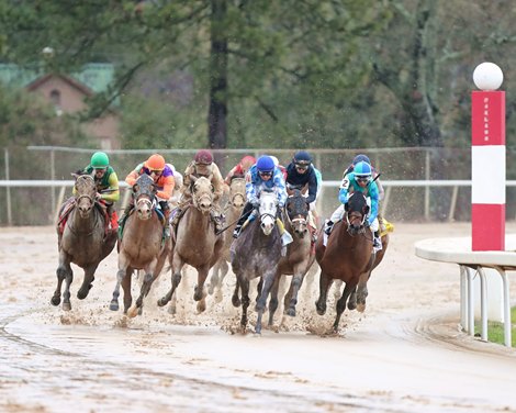 Confidence Game wins the Rebel Stakes on Saturday, February 25, 2023 at Oaklawn Park