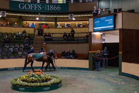 2023 Goffs February Sale, Lot 35