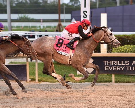 Rocket Can wins the 2023 Holy Bull Stakes at Gulfstream Park