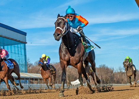 Swayin to and Fro wins 2023 Barbara Fritchie Stakes at Laurel Park
