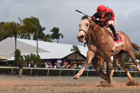 Rocket Can wins the 2023 Holy Bull Stakes at Gulfstream Park