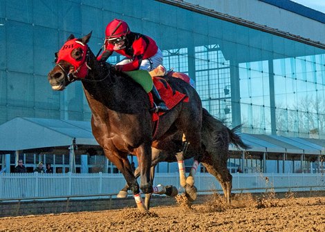 Eastern Bay wins 2023 General George Stakes at Laurel Park